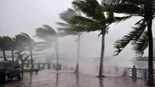 8月臺(tái)風(fēng)雨即將來，除濕機(jī)還得用起來