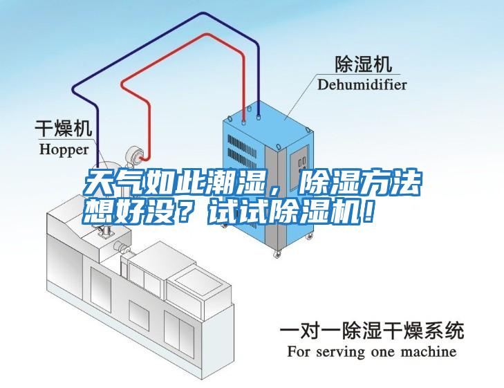 天氣如此潮濕，除濕方法想好沒？試試除濕機！