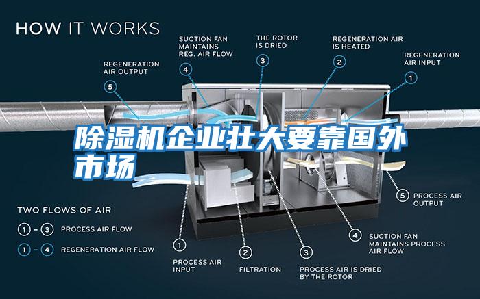 除濕機(jī)企業(yè)壯大要靠國外市場