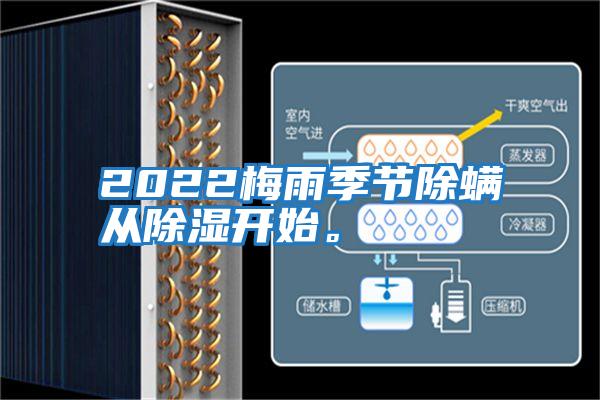 2022梅雨季節(jié)除螨從除濕開始。