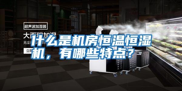 什么是機房恒溫恒濕機，有哪些特點？