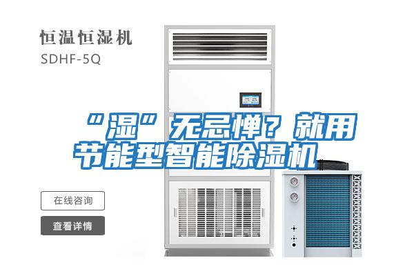 “濕”無忌憚？就用節(jié)能型智能除濕機