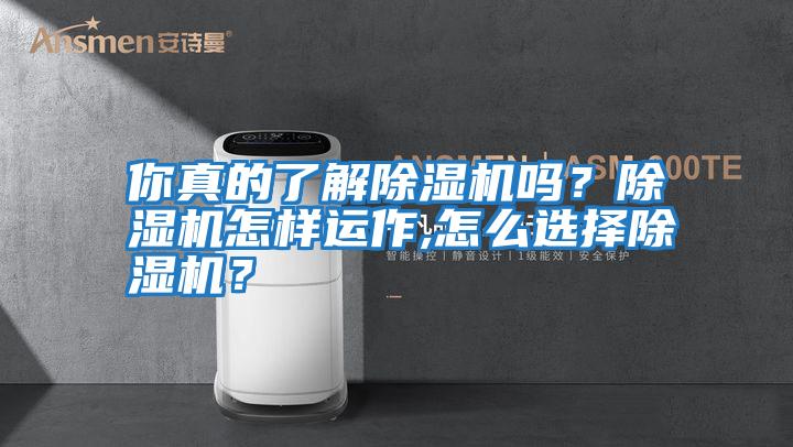 你真的了解除濕機嗎？除濕機怎樣運作,怎么選擇除濕機？