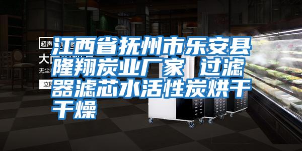 江西省撫州市樂安縣隆翔炭業(yè)廠家 過濾器濾芯水活性炭烘干干燥