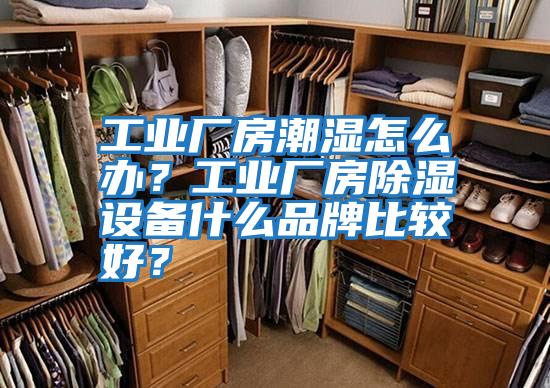 工業(yè)廠房潮濕怎么辦？工業(yè)廠房除濕設(shè)備什么品牌比較好？