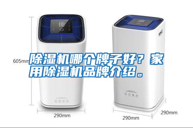 除濕機哪個牌子好？家用除濕機品牌介紹。