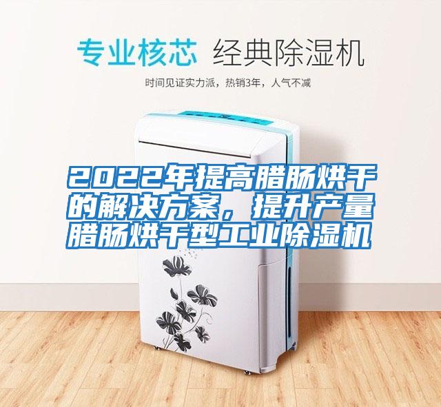 2022年提高臘腸烘干的解決方案，提升產(chǎn)量臘腸烘干型工業(yè)除濕機(jī)