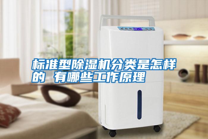 標準型除濕機分類是怎樣的 有哪些工作原理