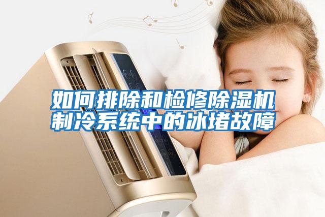 如何排除和檢修除濕機(jī)制冷系統(tǒng)中的冰堵故障