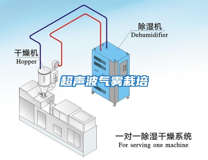 超聲波氣霧栽培