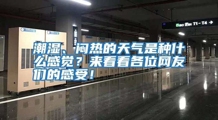 潮濕、悶熱的天氣是種什么感覺？來看看各位網(wǎng)友們的感受！