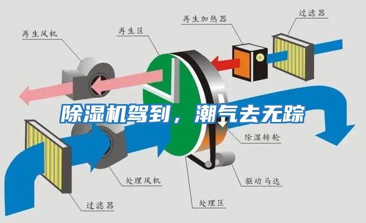 除濕機(jī)駕到，潮氣去無(wú)蹤