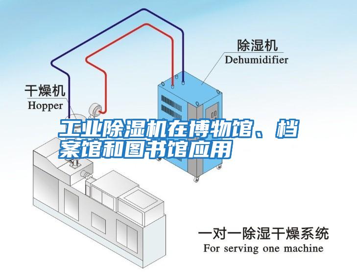 工業(yè)除濕機(jī)在博物館、檔案館和圖書館應(yīng)用
