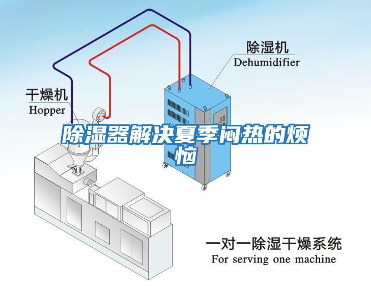 除濕器解決夏季悶熱的煩惱