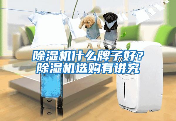 除濕機(jī)什么牌子好？除濕機(jī)選購(gòu)有講究