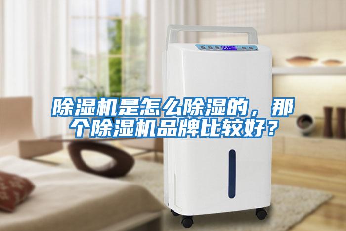 除濕機(jī)是怎么除濕的，那個(gè)除濕機(jī)品牌比較好？