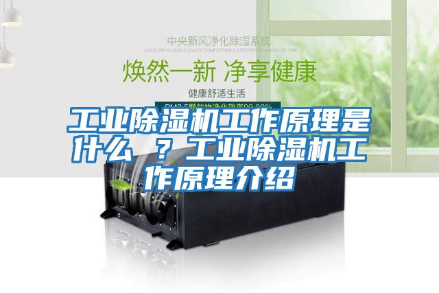 工業(yè)除濕機工作原理是什么 ？工業(yè)除濕機工作原理介紹