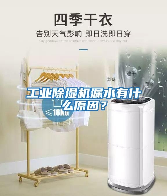 工業(yè)除濕機(jī)漏水有什么原因？