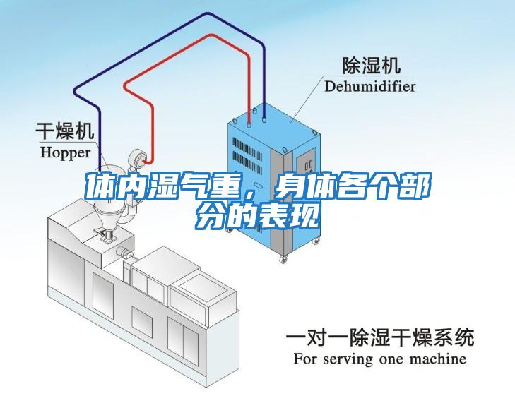 體內(nèi)濕氣重，身體各個部分的表現(xiàn)