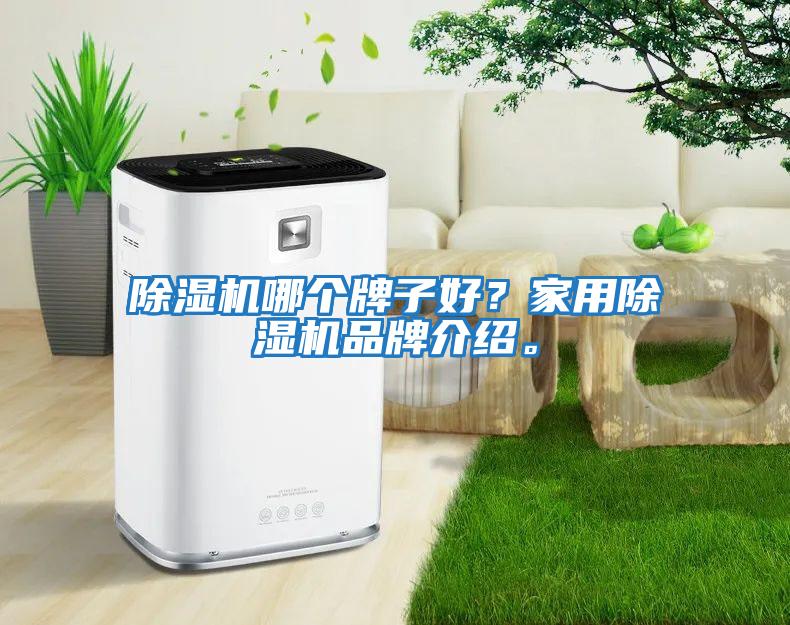 除濕機哪個牌子好？家用除濕機品牌介紹。