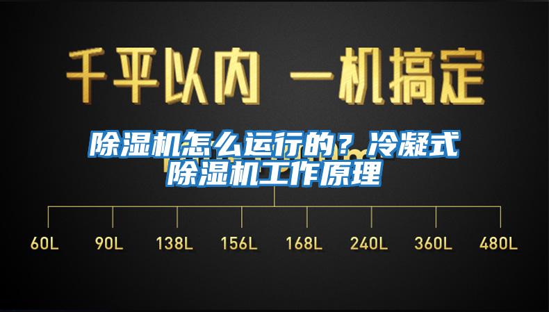 除濕機怎么運行的？冷凝式除濕機工作原理