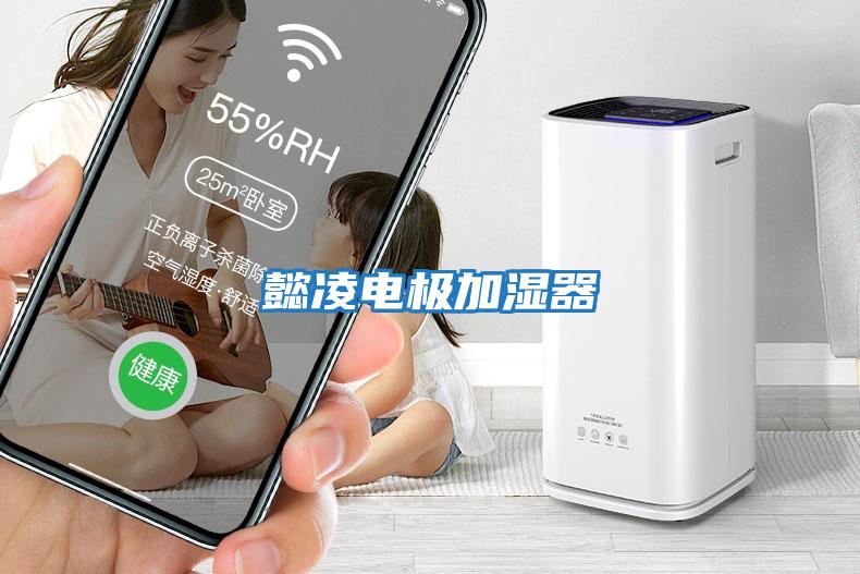 懿凌電極加濕器