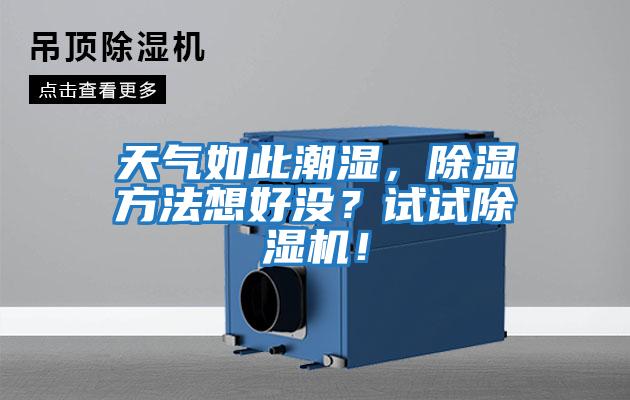 天氣如此潮濕，除濕方法想好沒？試試除濕機(jī)！