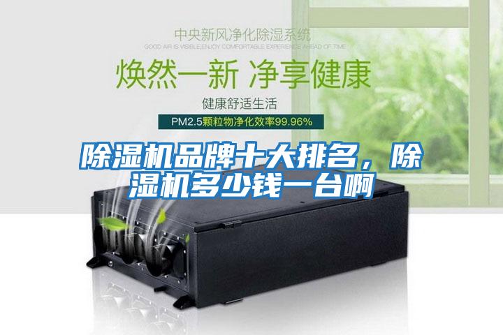 除濕機品牌十大排名，除濕機多少錢一臺啊