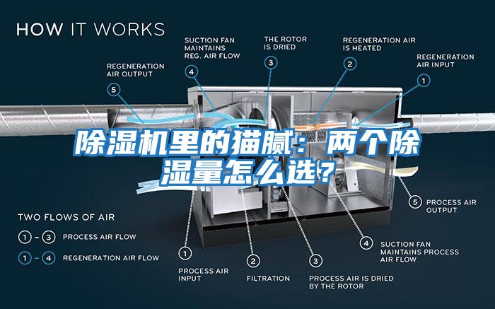 除濕機里的貓膩：兩個除濕量怎么選？