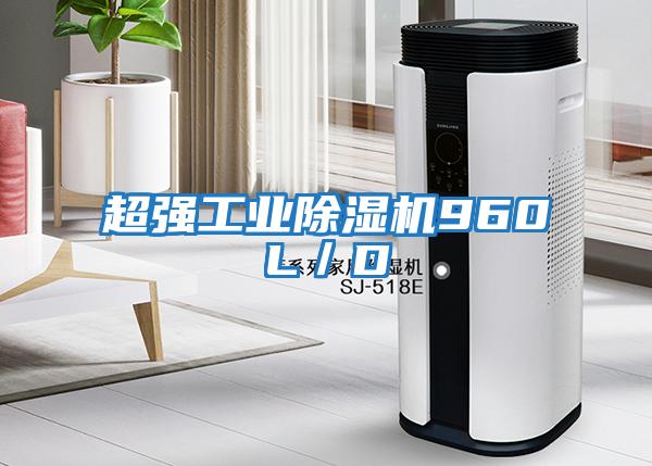 超強(qiáng)工業(yè)除濕機(jī)960L／D