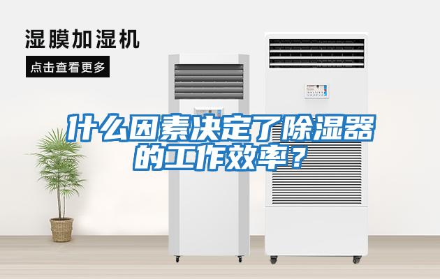 什么因素決定了除濕器的工作效率？