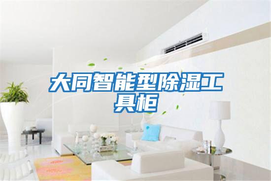 大同智能型除濕工具柜