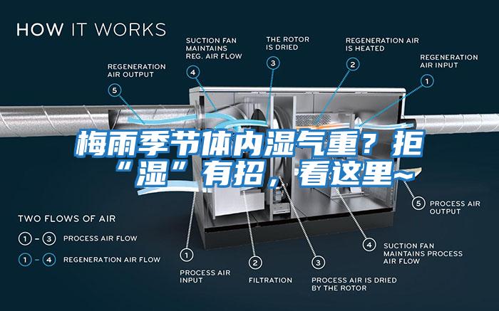 梅雨季節(jié)體內(nèi)濕氣重？拒“濕”有招，看這里~