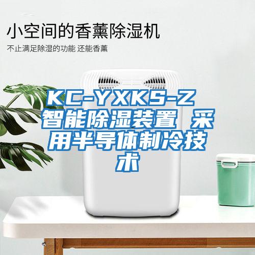 KC-YXKS-Z 智能除濕裝置 采用半導(dǎo)體制冷技術(shù)