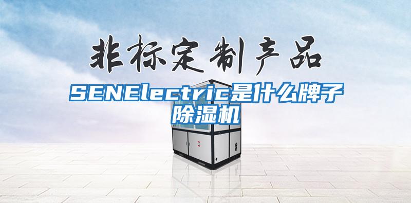 SENElectric是什么牌子除濕機(jī)