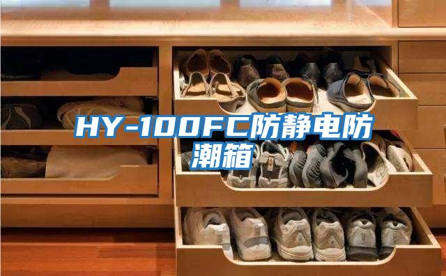 HY-100FC防靜電防潮箱