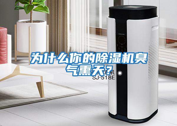 為什么你的除濕機臭氣熏天？