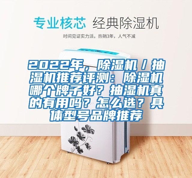 2022年，除濕機／抽濕機推薦評測：除濕機哪個牌子好？抽濕機真的有用嗎？怎么選？具體型號品牌推薦