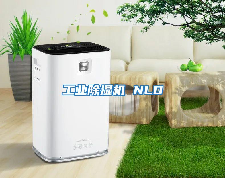 工業(yè)除濕機(jī) NLD