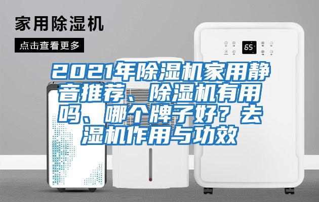 2021年除濕機家用靜音推薦、除濕機有用嗎、哪個牌子好？去濕機作用與功效