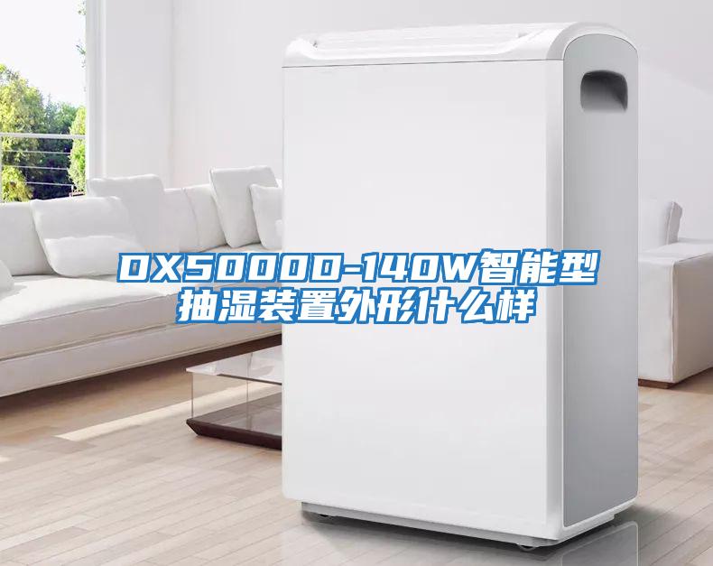 DX5000D-140W智能型抽濕裝置外形什么樣