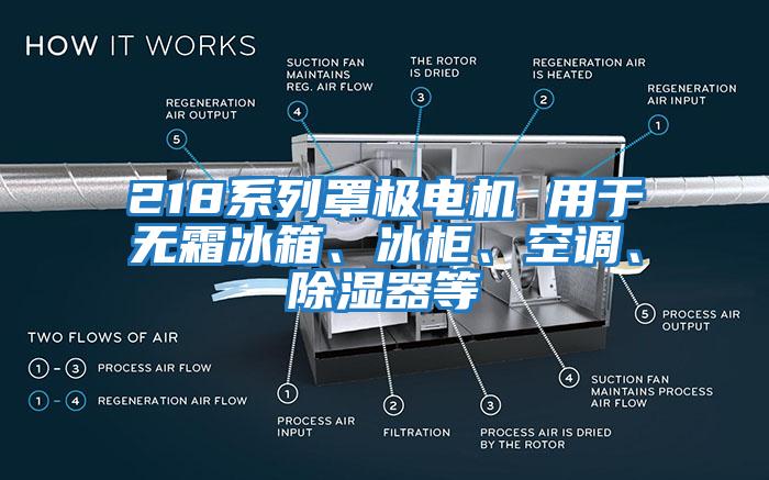 218系列罩極電機(jī) 用于無霜冰箱、冰柜、空調(diào)、除濕器等