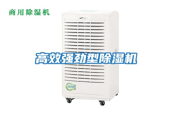 高效強勁型除濕機