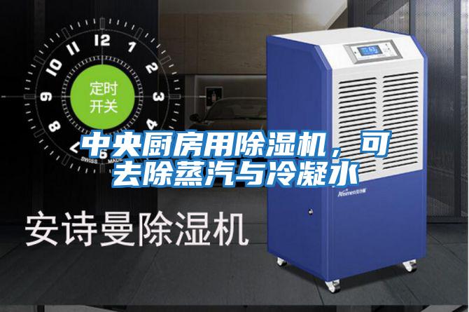 中央廚房用除濕機(jī)，可去除蒸汽與冷凝水