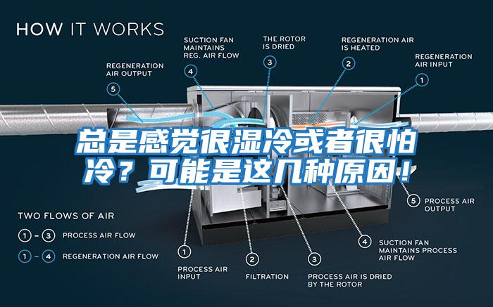 總是感覺(jué)很濕冷或者很怕冷？可能是這幾種原因！