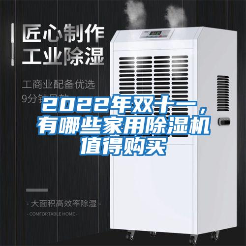 2022年雙十一，有哪些家用除濕機值得購買