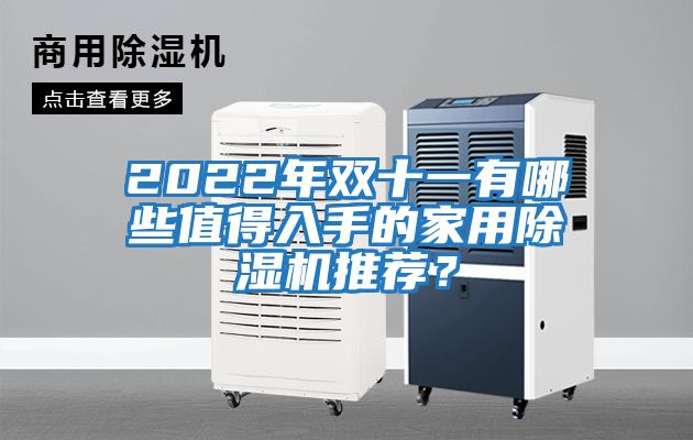 2022年雙十一有哪些值得入手的家用除濕機推薦？