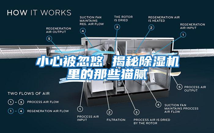 小心被忽悠 揭秘除濕機(jī)里的那些貓膩