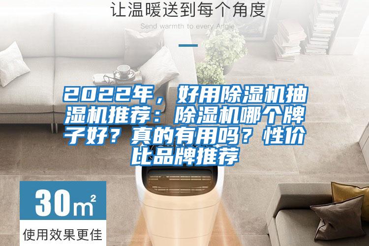 2022年，好用除濕機(jī)抽濕機(jī)推薦：除濕機(jī)哪個牌子好？真的有用嗎？性價比品牌推薦