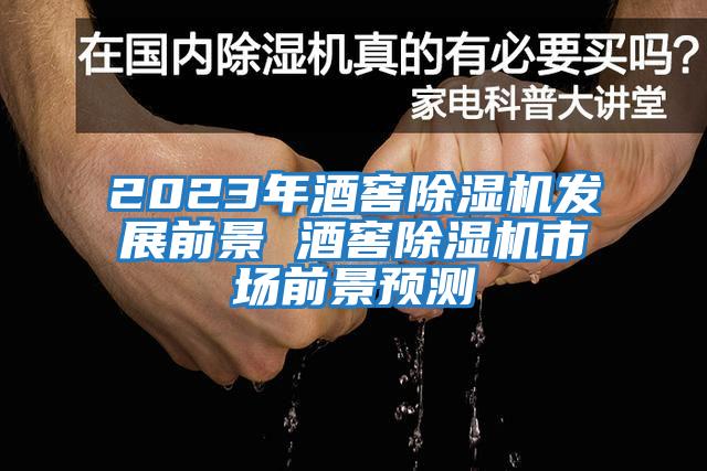 2023年酒窖除濕機(jī)發(fā)展前景 酒窖除濕機(jī)市場前景預(yù)測